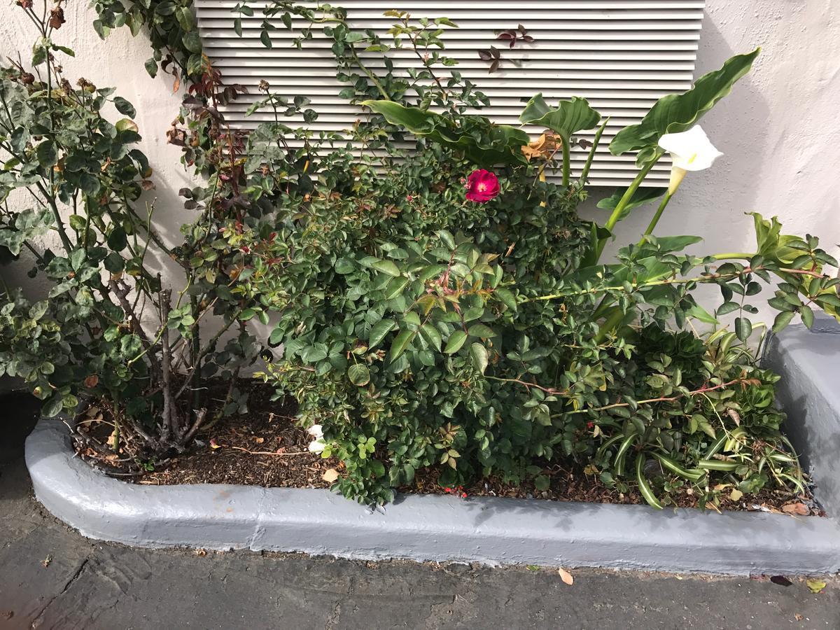 Geneva Motel Daly City Luaran gambar